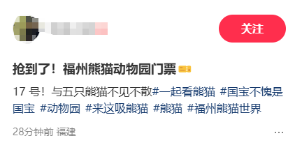 周末开园！抢到福州熊猫世界门票的幸运儿已出现