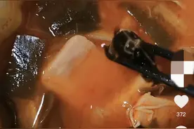 杨国福麻辣烫被曝吃出形似蝙蝠异物，监管部门介入！称正调查图片