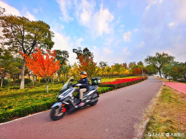 沂河岸边秋景美，抬眸尽是好风光