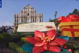 你好 澳门！多彩、多元 “多巴胺”色系里的澳门太靓了图片