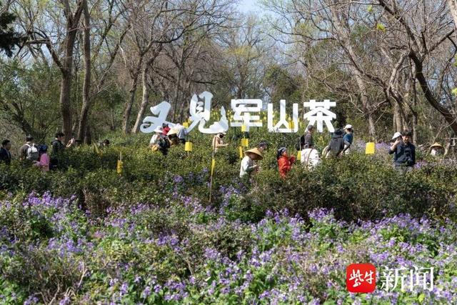 “五一”玩转南通！山水花海、非遗艺术、亲子趣玩一站式打卡