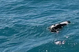 惠州四人潜水失联追踪：两人身亡、一人获救，还有一人未寻获图片