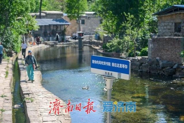 济南驻村第一书记带你“自驾”行•游乡村（平阴篇）