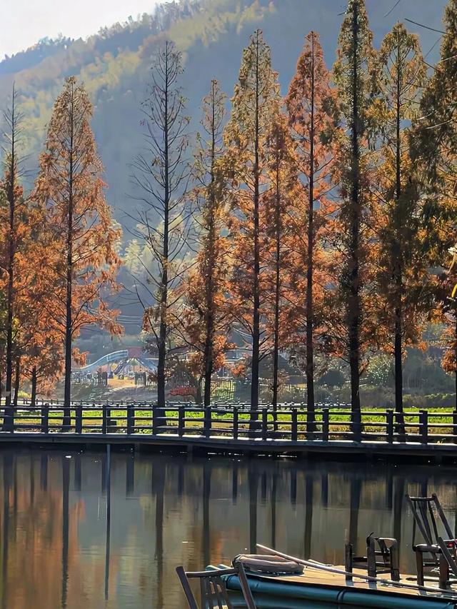 如画江西的冬日惊喜，是什么样子的？