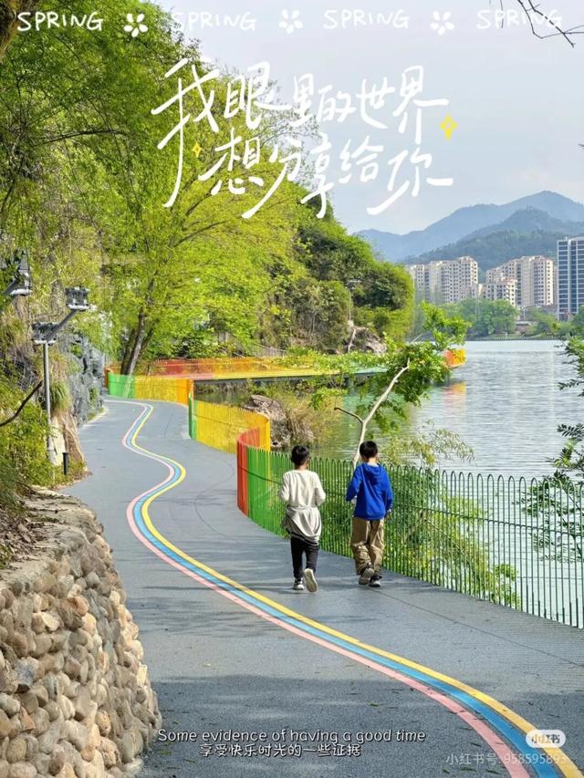 今日寒露！向莲都的“绿光森林”，出发！