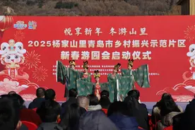 打造冬季文旅“新爆点”！杨家山里青岛市乡村振兴示范片区新春游园会启幕图片