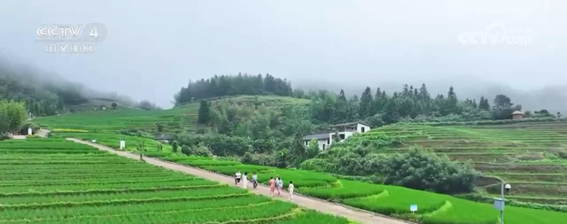 双节文旅市场热潮涌动 “全新场景+特色活动”带动消费热潮