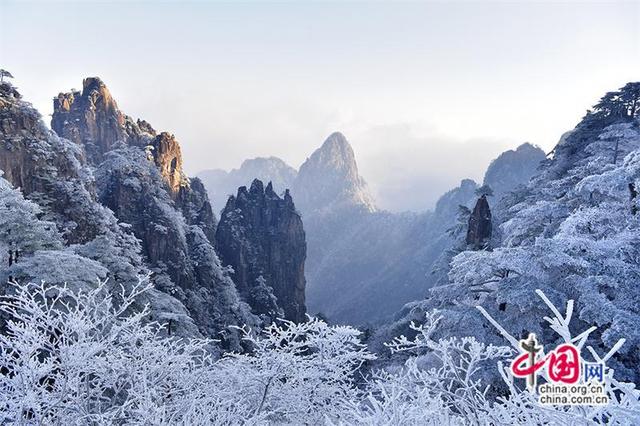 只有一个黄山：黄山雪后初霁景美如画(图)