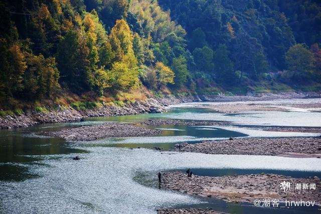 晚潮｜畲乡绿道：一场深情邂逅景宁的秋景
