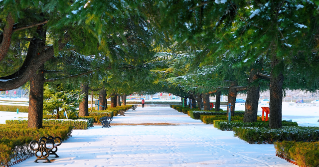 冬天，遇见不一样的潍坊！