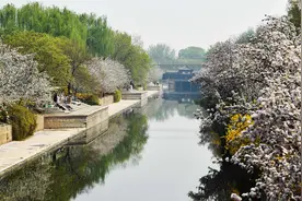 春水满京城，这个春天一起沿着美丽河湖赏花观柳图片