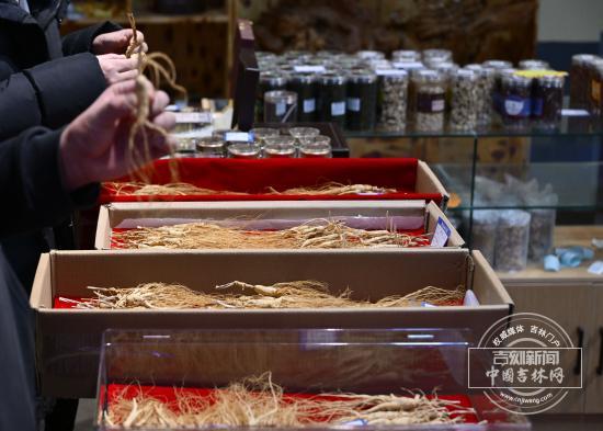 文化中国行｜吉林长白山人参栽培系统藏着三城的传承“心法”