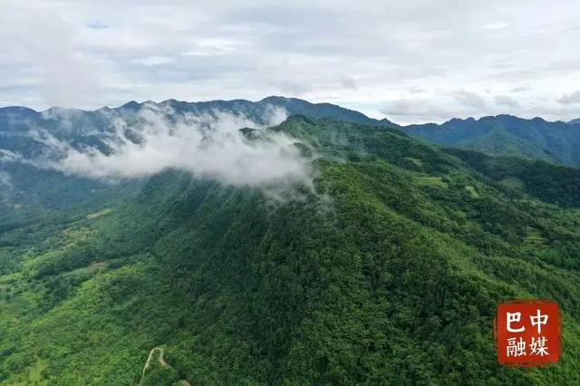 【诗意山水·红色巴中⑫】空山天盆:“红绿共融”的夏日度假胜地