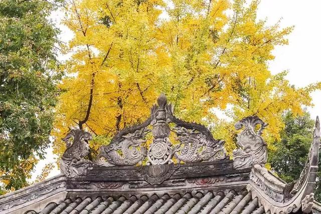 出发！来四川淘“金”