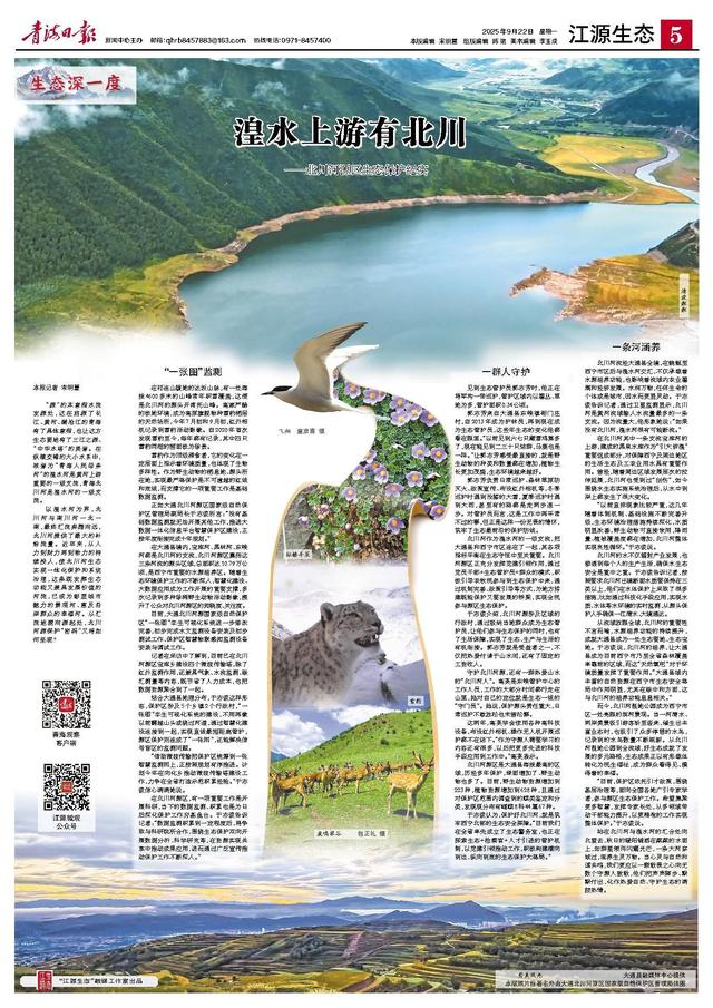 湟水上游有北川 —北川河源区生态保护纪实