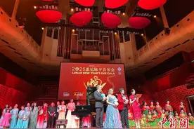 文化交融，乐韵迎新——2025悉尼除夕音乐会盛大上演图片