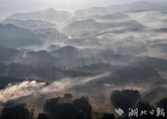 蕲春雾云山这幅“稻海云海图”绝了！