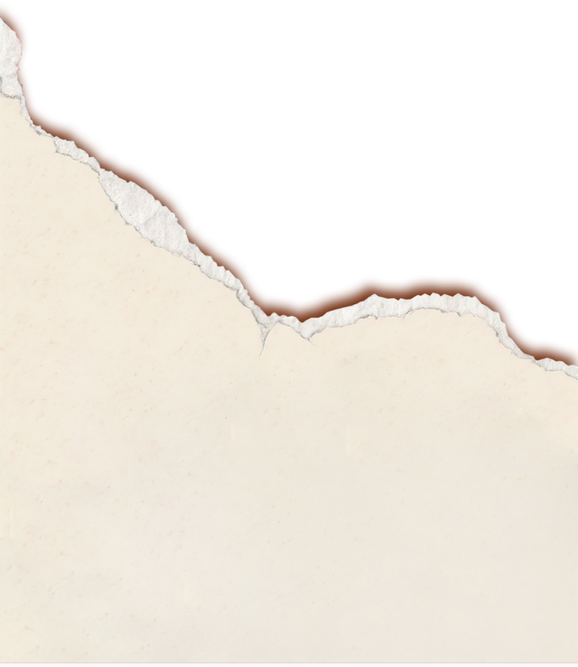 省级创新案例！东阳+1