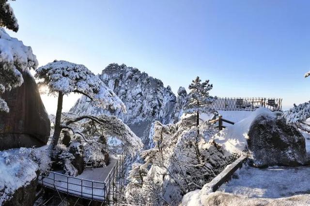 黄山冬雪预测手册，快收藏！