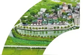 基层善治的陆丰密码图片