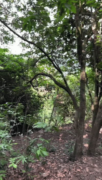 事发深圳多景区！官方紧急提醒