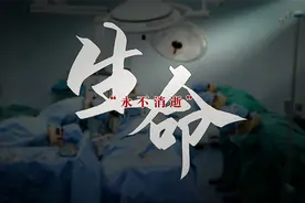 深读｜海口金牛岭公园里数百个特殊的名字背后：以生命点亮生命图片