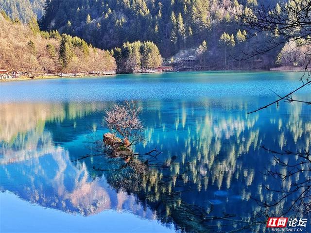 九寨沟的冬日浪漫：雪吻海子，阳光作画，太治愈了