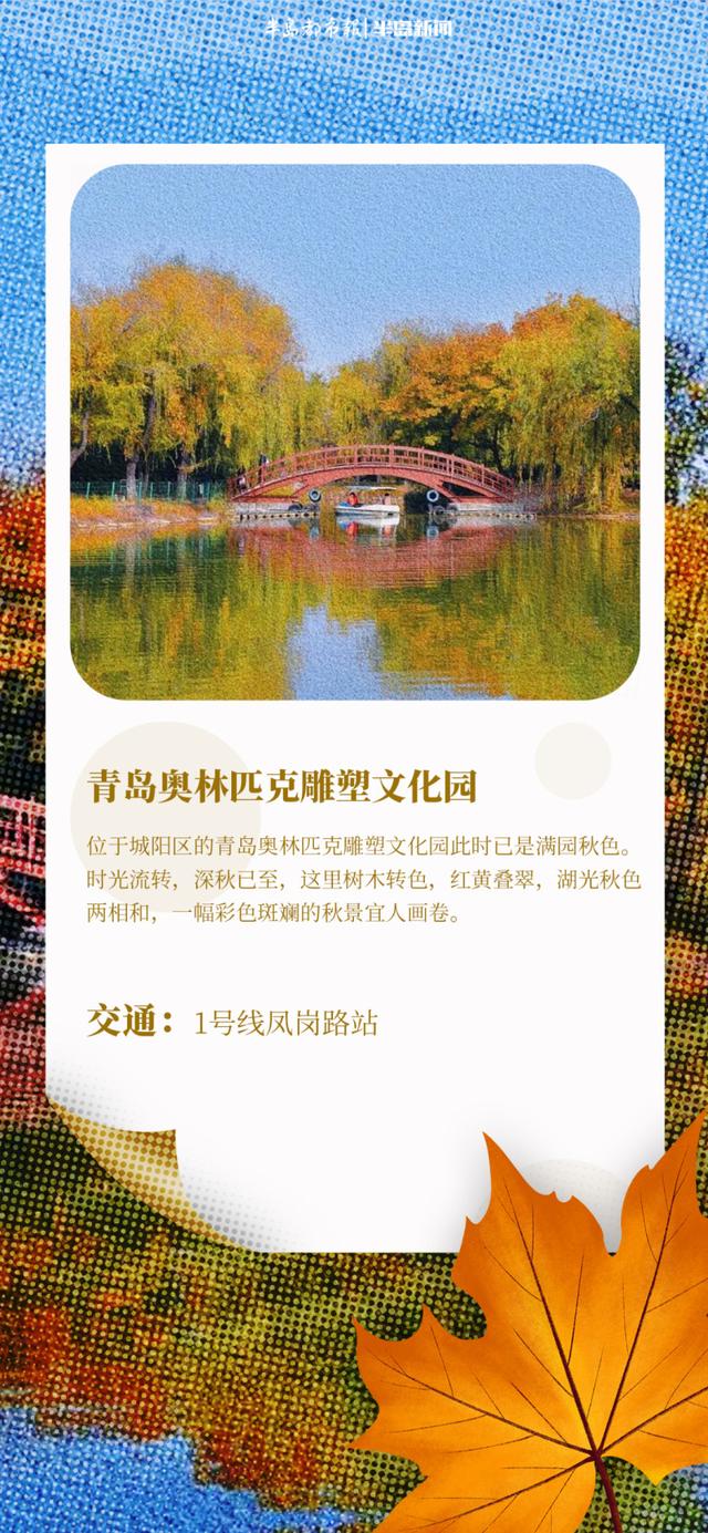 AI长图站｜青岛“枫”景上线！跟着地图，探寻“红叶秘境”
