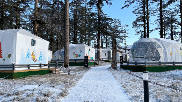 【直播倒计时1天】低至1元畅玩冬日瓦屋山，赏日出云海奇景！就在瓦屋山景区抖音直播间，明早8点准时开抢！