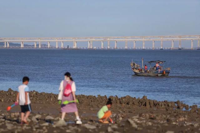赶海、寻趣！来丰泽打卡这一抹海天蓝！