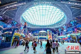 创七项吉尼斯世界纪录 珠海横琴“长隆宇宙飞船”试业图片