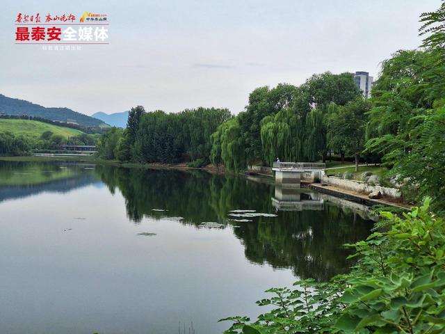初秋天平湖：水墨画卷入眼来