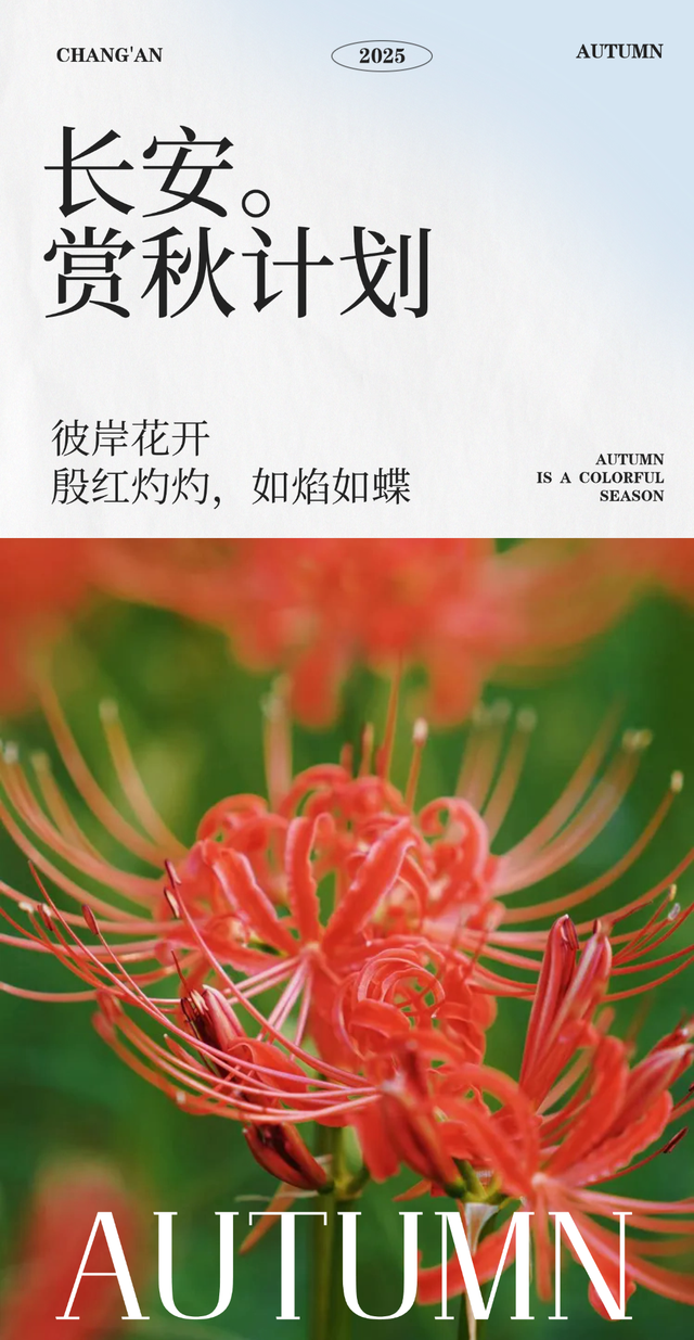 太美了！错过了等一年！