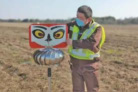 这种眼睛被叫作“恐怖眼”，被放在机场中，会随风转动，不是驱邪而是驱……图片