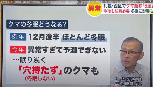 日本熊灾，吓跑多少中国游客？