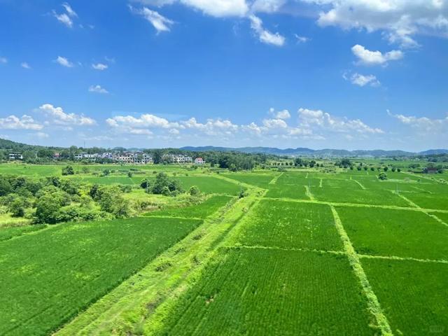 赣鄱青黛处，水墨映归程