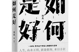 贴地而行的写作——我写《如何是好》图片