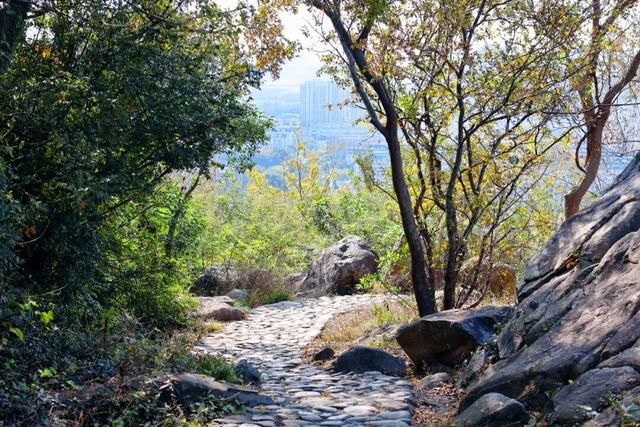 在雨山邂逅暗香苑，寻见一方藏在城市角落的桃花源