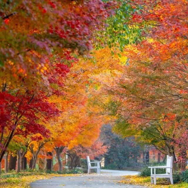 金山人宣布！这条宝藏线路将是“上海旅超”秋冬名场面!