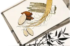 中药的名字里 究竟藏着多少东方美图片