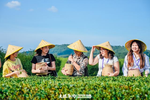 三种颜色，解码机遇中国