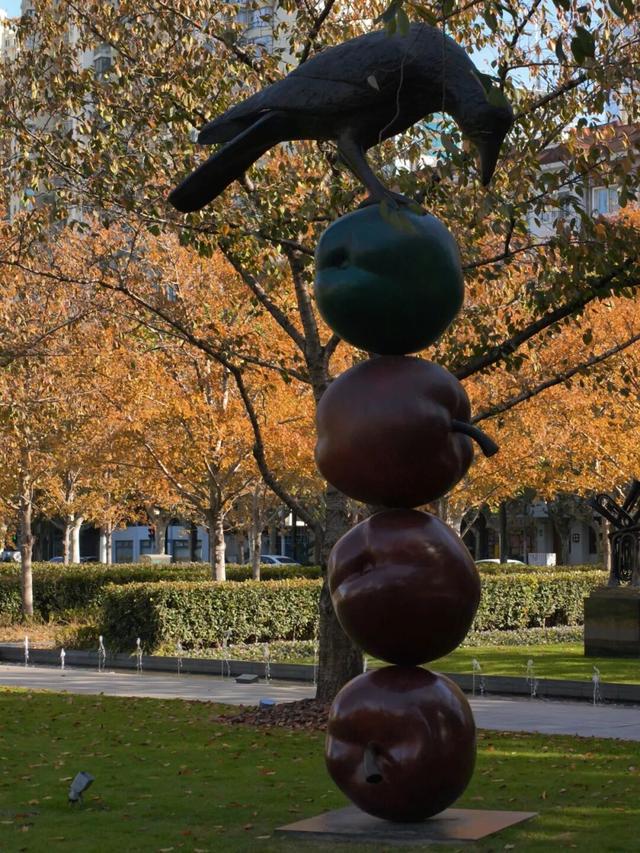 红花槭火红、银杏金黄、乌桕美如油画……静安这里藏着一片绝美秋色→