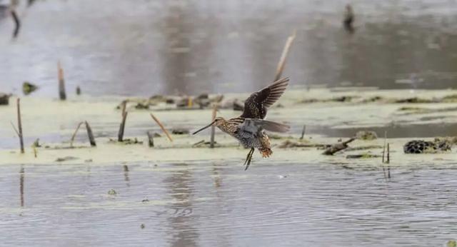 无锡最新追“星”指南，速收藏！