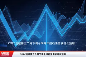 OPEC连续第三个月下调全球石油需求增长预测视频封面