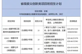 一文读懂！2024成都高中项目班怎么招生，怎么录取？图片