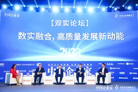 中国民营经济研究会副会长任泽平：不要轻易否定传统产业 双实企业应“先立后破”图片