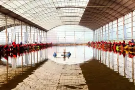 2024年河南省钓鱼锦标赛收竿图片