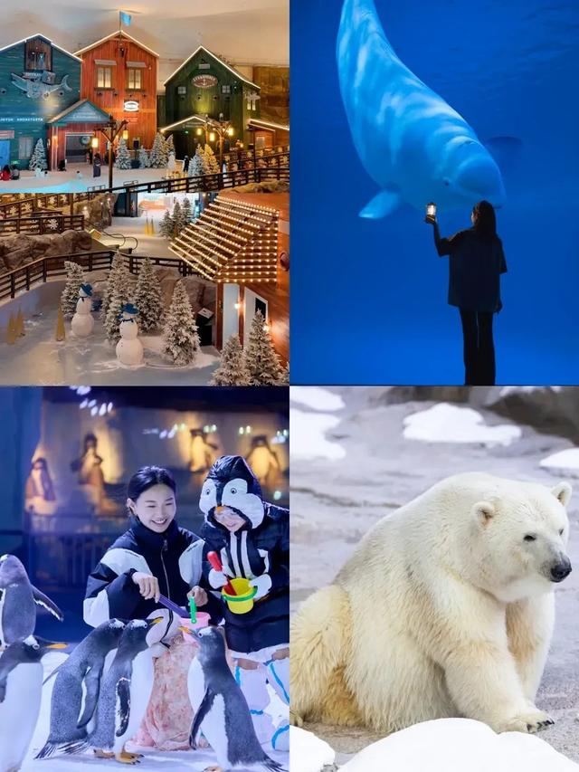 海南海洋欢乐世界入选2025海南研学旅游基地品质提升十佳示范点