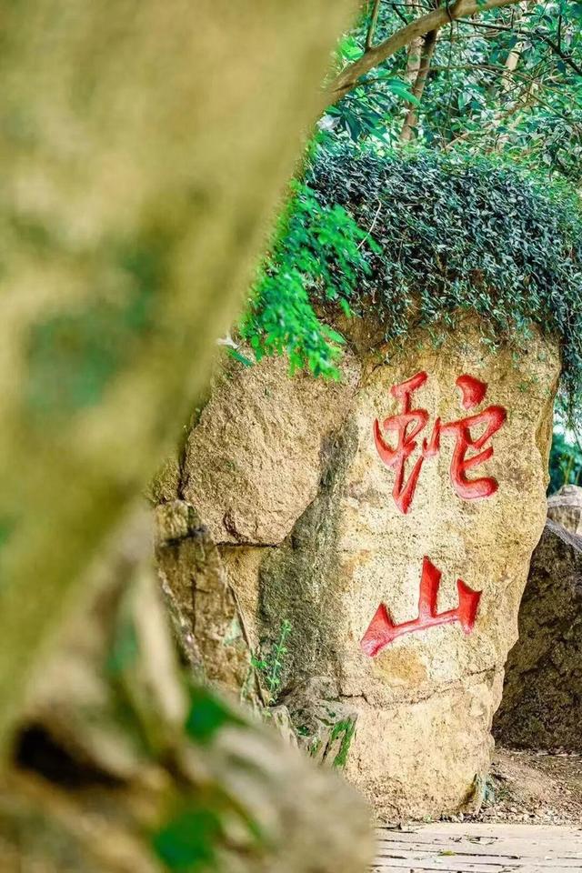 武昌赏秋天花板！这条被推荐100次的山路，迎来最美时刻