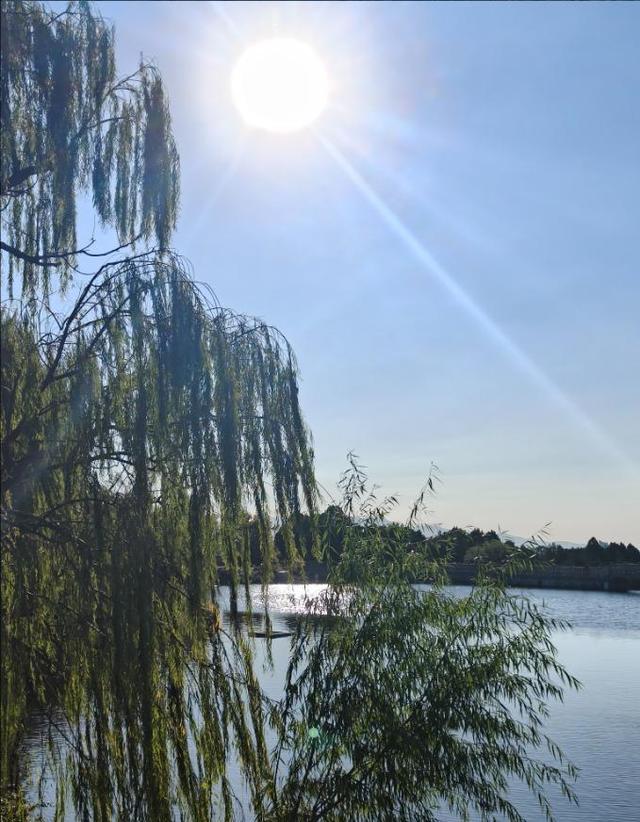 彩林映湖光 泰山虎山公园初冬画卷引客来